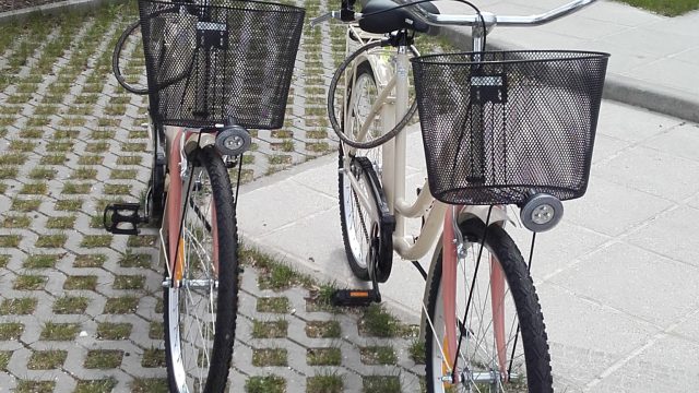 Free bike rental