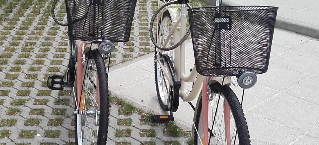 Free bike rental