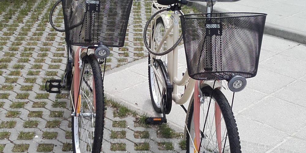 Free bike rental