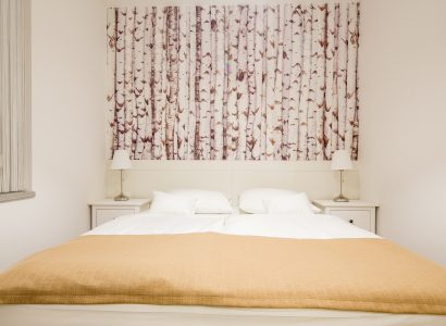 003 Big One-bedroom App (2+2) – basement