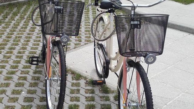 Free bike rental