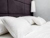 Room 202 (1-2 persons)