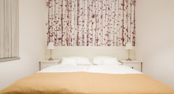 003 Eno-sobni apartma (2+2)